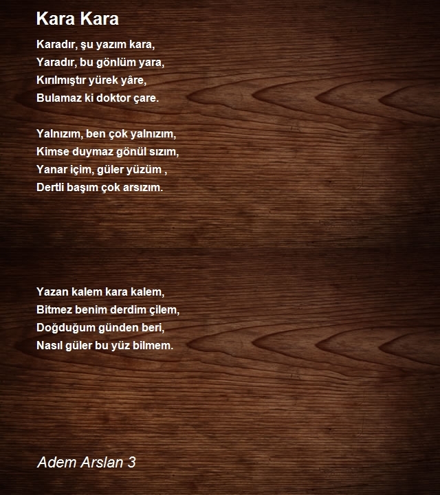 Adem Arslan 3