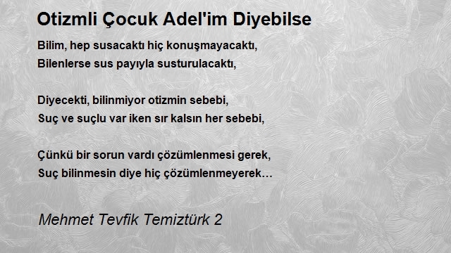 Mehmet Tevfik Temiztürk 2