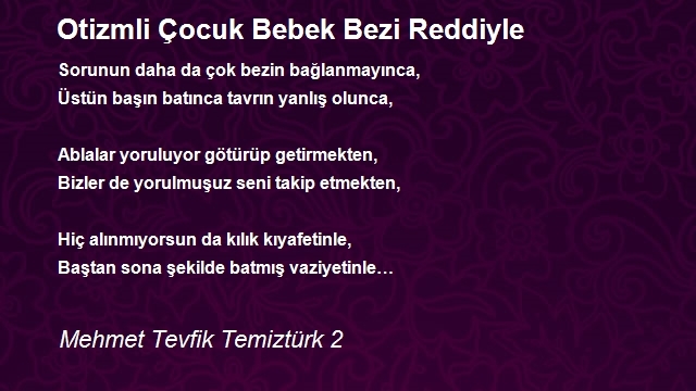 Mehmet Tevfik Temiztürk 2