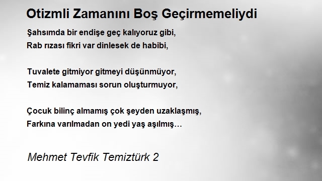 Mehmet Tevfik Temiztürk 2