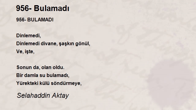 Selahaddin Aktay