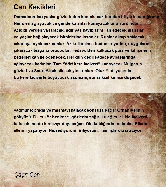 Çağrı Can