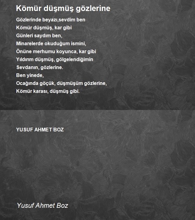 Yusuf Ahmet Boz