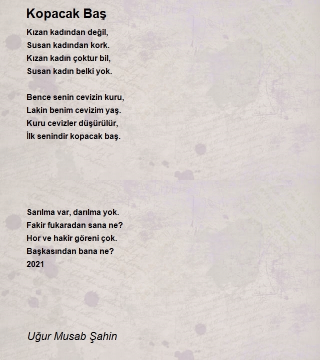 Uğur Musab Şahin