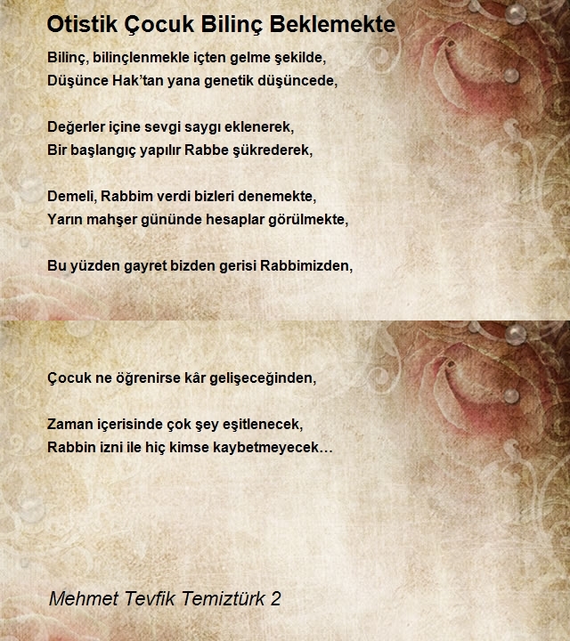 Mehmet Tevfik Temiztürk 2