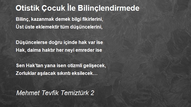 Mehmet Tevfik Temiztürk 2