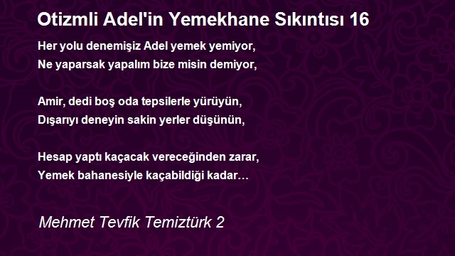 Mehmet Tevfik Temiztürk 2