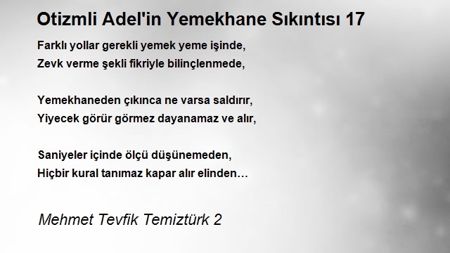 Mehmet Tevfik Temiztürk 2