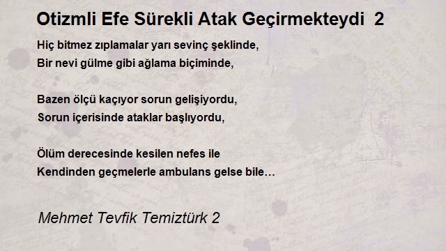 Mehmet Tevfik Temiztürk 2