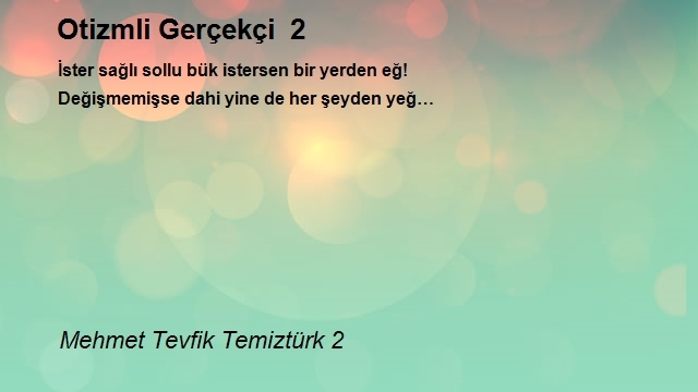 Mehmet Tevfik Temiztürk 2