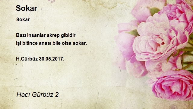 Hacı Gürbüz 2