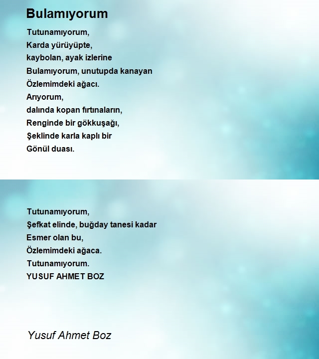 Yusuf Ahmet Boz