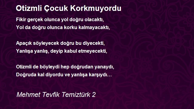 Mehmet Tevfik Temiztürk 2