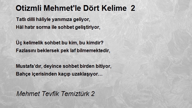 Mehmet Tevfik Temiztürk 2