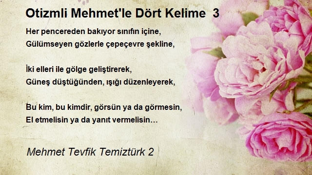 Mehmet Tevfik Temiztürk 2