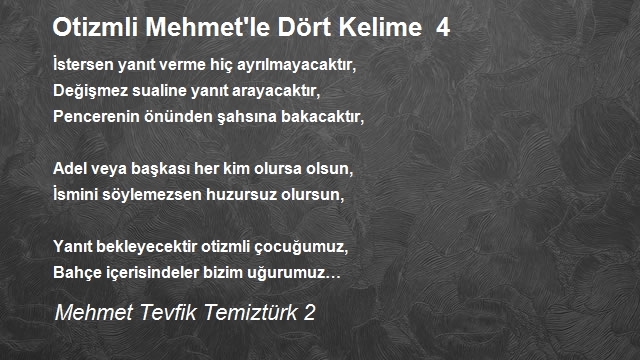 Mehmet Tevfik Temiztürk 2