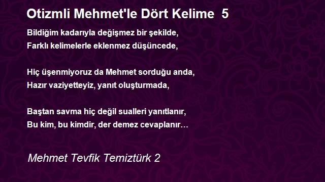 Mehmet Tevfik Temiztürk 2