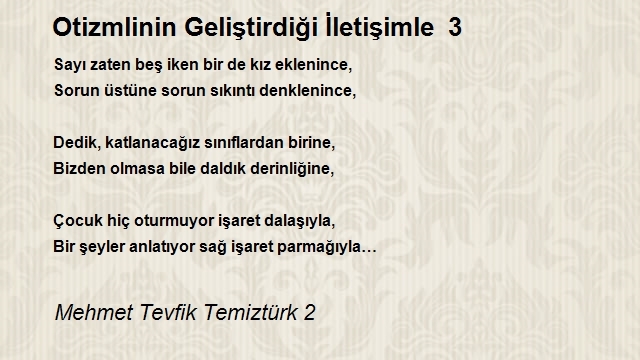 Mehmet Tevfik Temiztürk 2