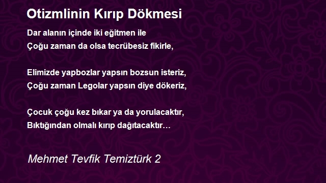 Mehmet Tevfik Temiztürk 2