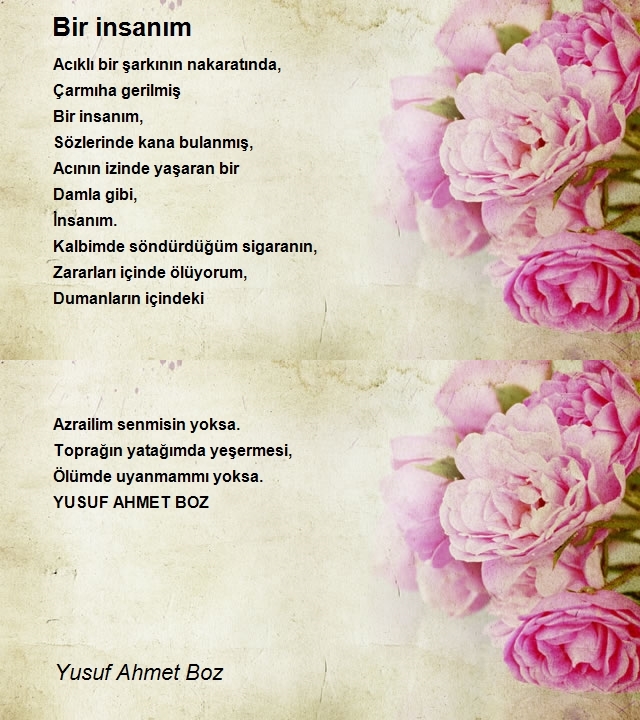 Yusuf Ahmet Boz