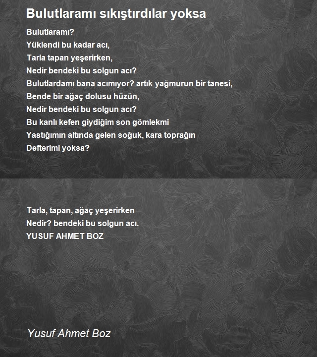 Yusuf Ahmet Boz