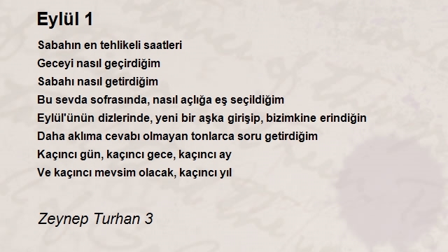 Zeynep Turhan 3