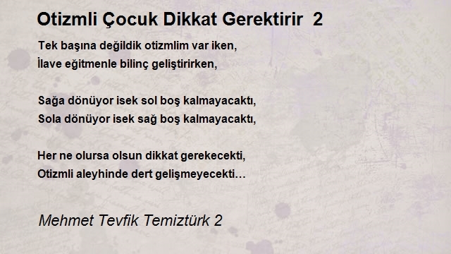 Mehmet Tevfik Temiztürk 2