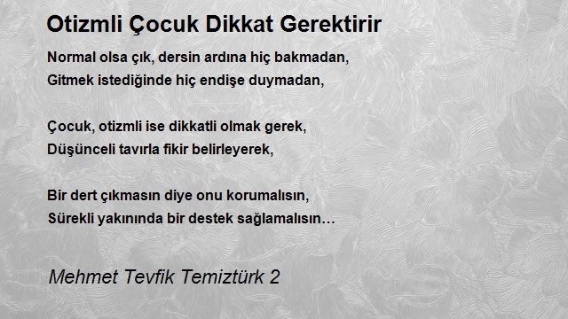 Mehmet Tevfik Temiztürk 2