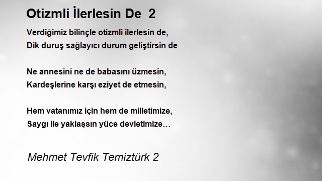 Mehmet Tevfik Temiztürk 2