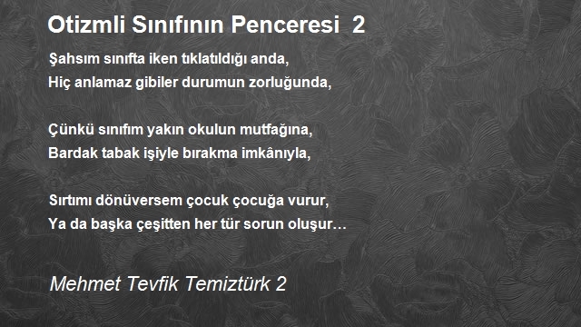 Mehmet Tevfik Temiztürk 2