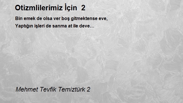 Mehmet Tevfik Temiztürk 2