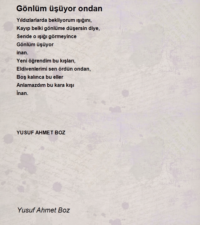 Yusuf Ahmet Boz