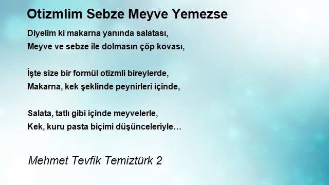 Mehmet Tevfik Temiztürk 2