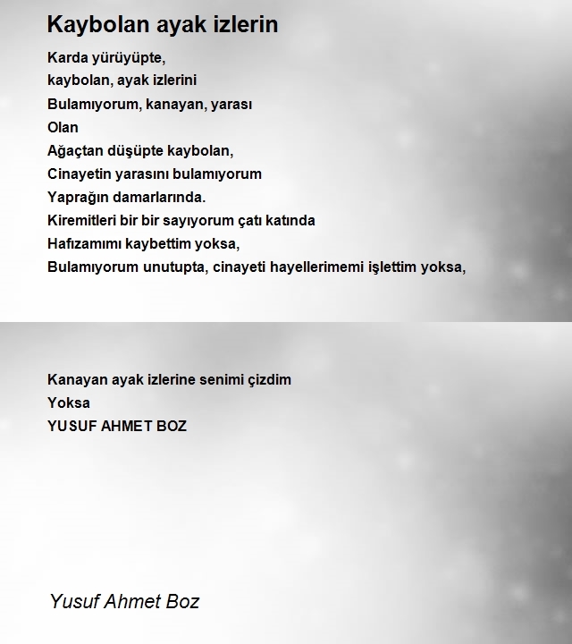 Yusuf Ahmet Boz