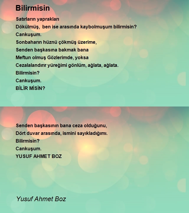 Yusuf Ahmet Boz