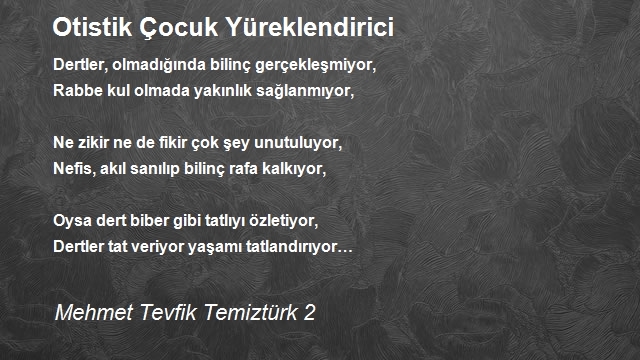 Mehmet Tevfik Temiztürk 2