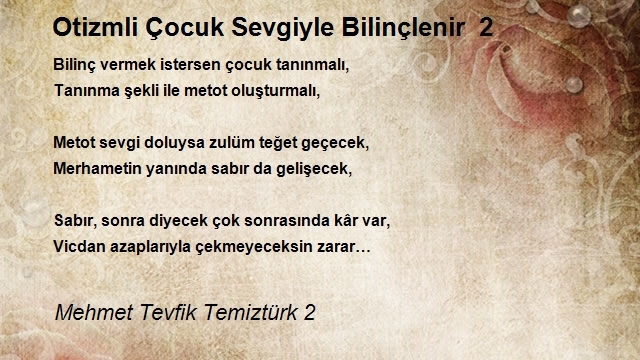 Mehmet Tevfik Temiztürk 2