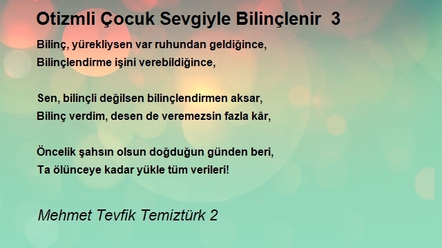 Mehmet Tevfik Temiztürk 2