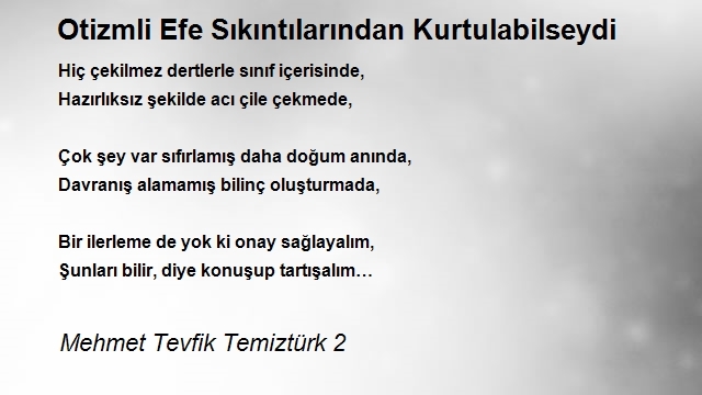 Mehmet Tevfik Temiztürk 2