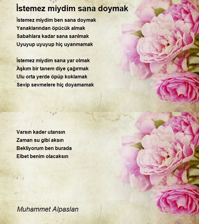 Muhammet Alpaslan