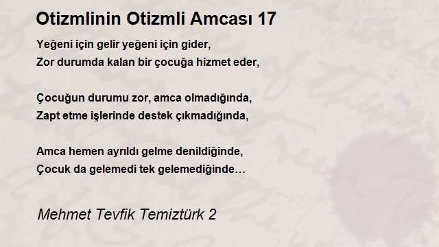 Mehmet Tevfik Temiztürk 2