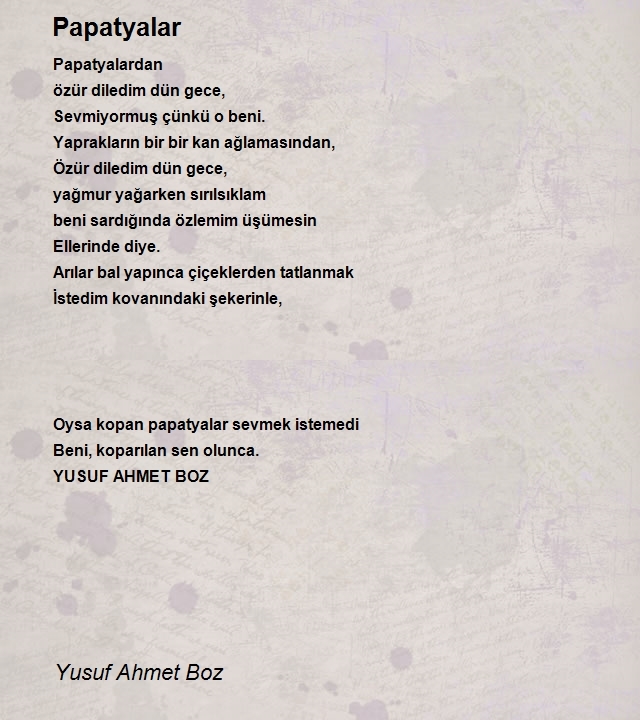 Yusuf Ahmet Boz