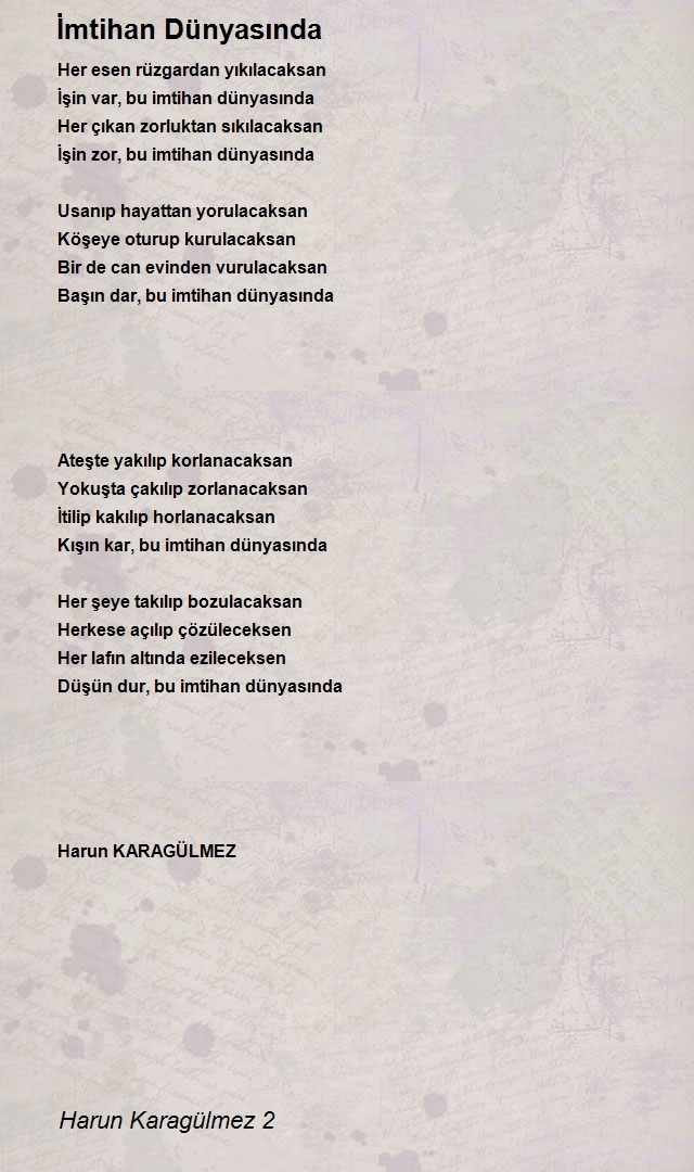 Harun Karagülmez 2