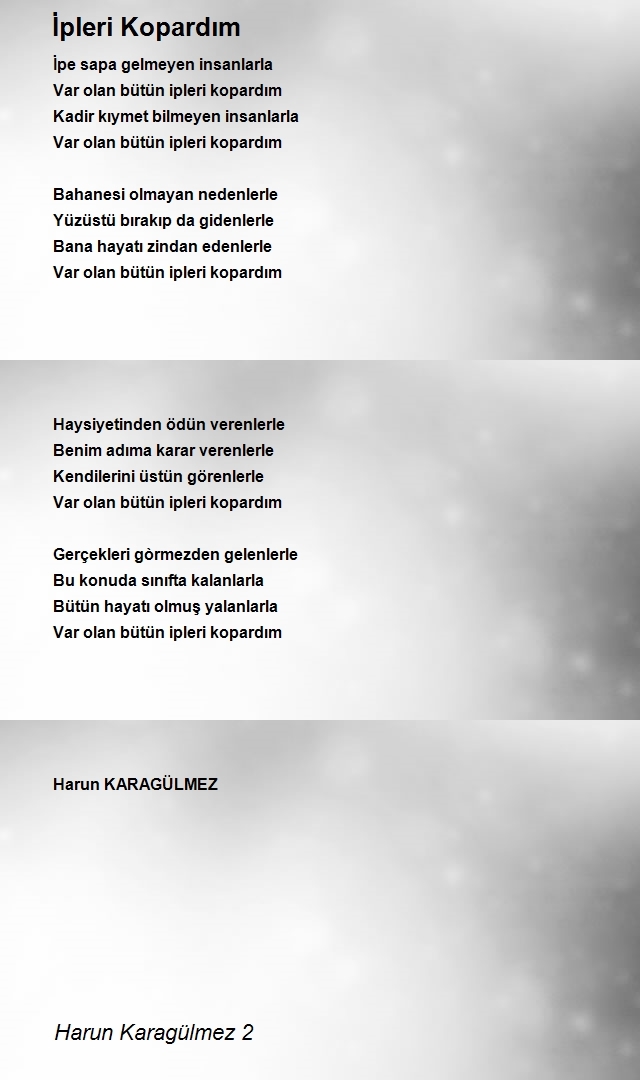 Harun Karagülmez 2