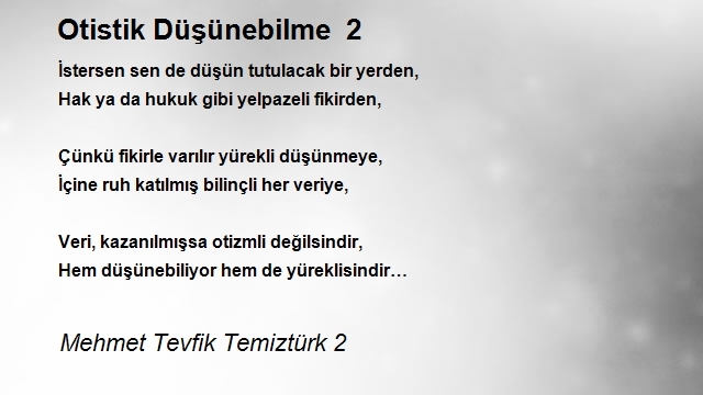 Mehmet Tevfik Temiztürk 2