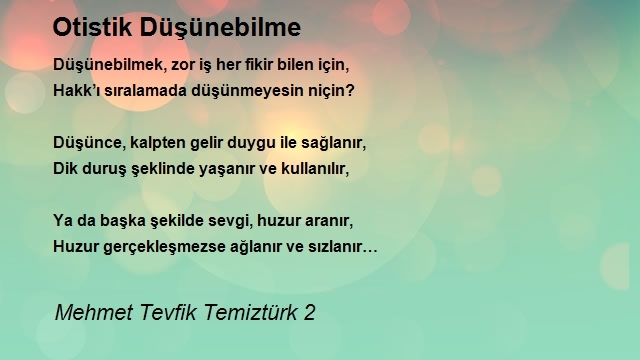 Mehmet Tevfik Temiztürk 2