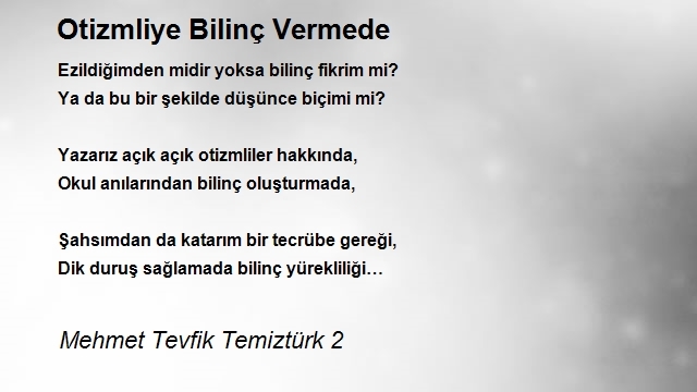 Mehmet Tevfik Temiztürk 2