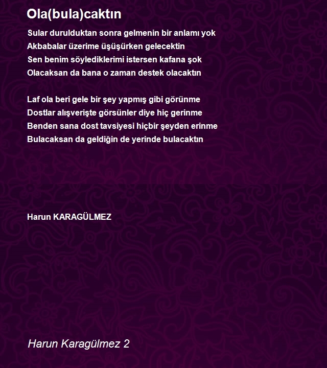 Harun Karagülmez 2