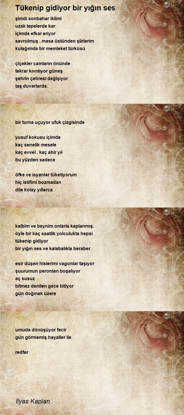 İlyas Kaplan