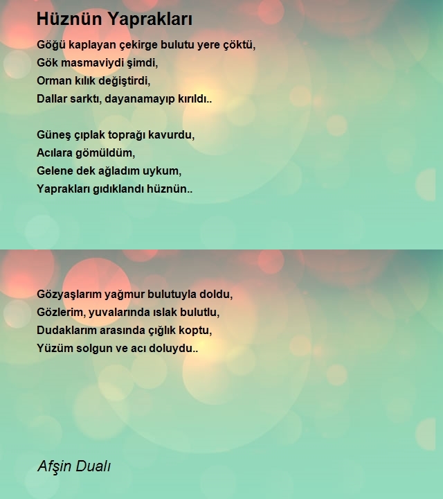 Afşin Dualı